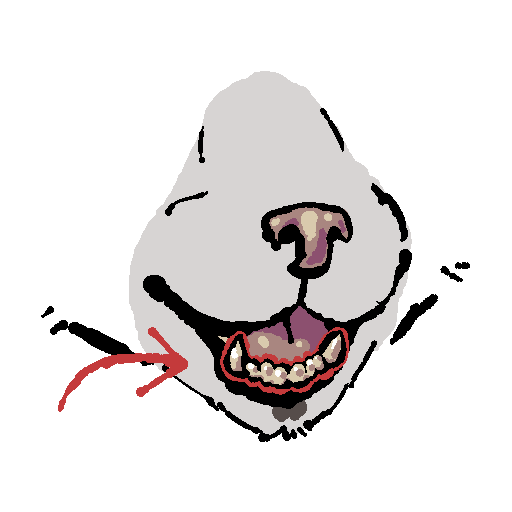 a cat's snout from the front. his mouth is open and there is a red outline around his teeth and a red arrow pointing to them